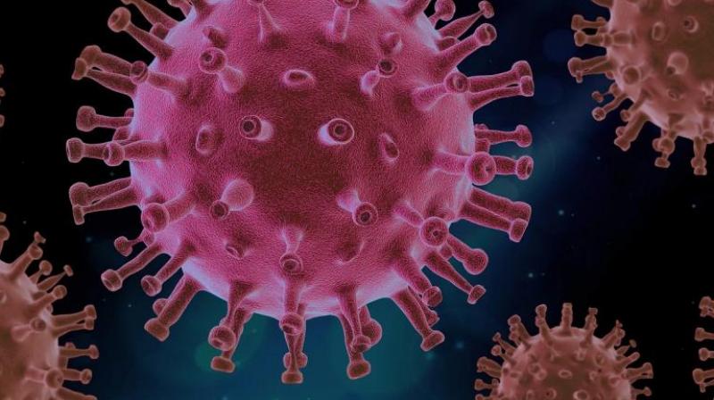 Corona virus Corona virus