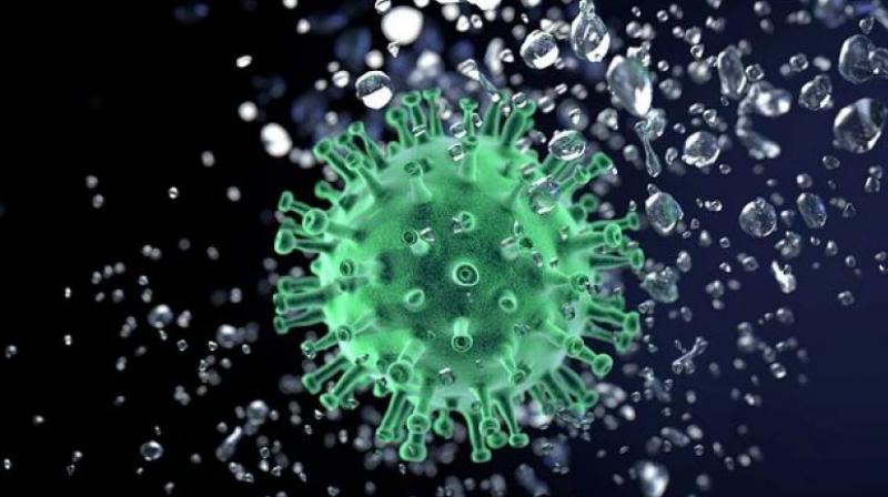 coronavirus coronavirus