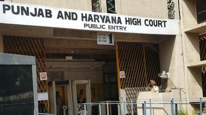 Ludhiana Municipal Corporation To Pay Rs 5 Crore To Company Operating City Bus Ludhiana Municipal Corporation To Pay Rs 5 Crore To Company Operating City Bus