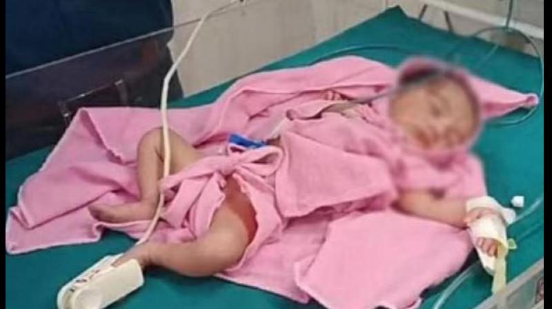 newborn baby newborn baby