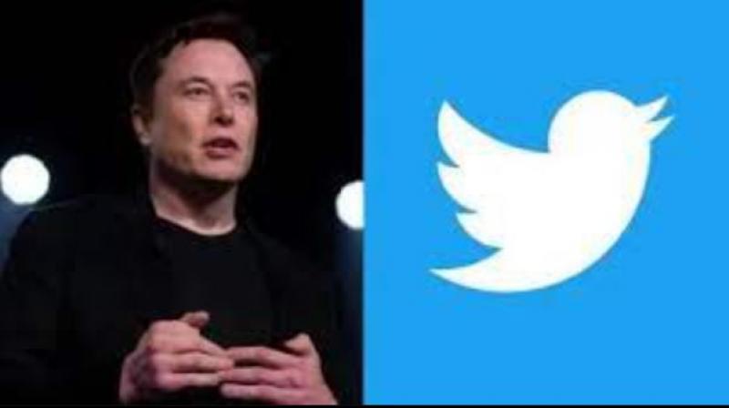 Twitter down Twitter down