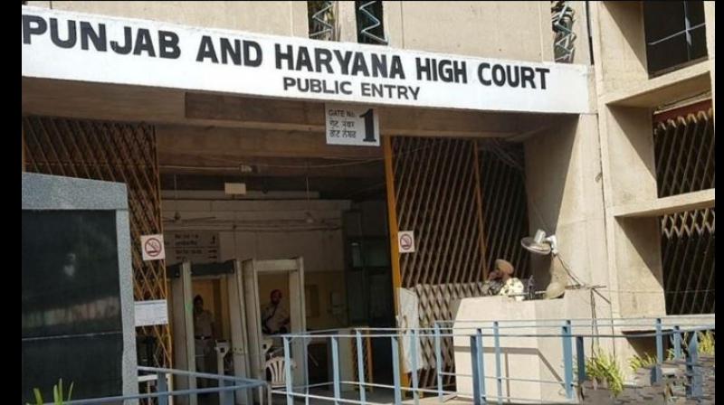 Punjab High Court