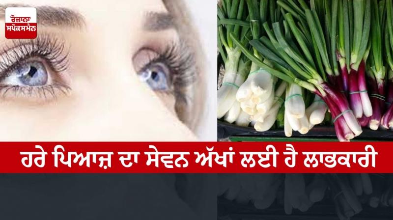 Consuming green onion is beneficial for eyes Consuming green onion is beneficial for eyes