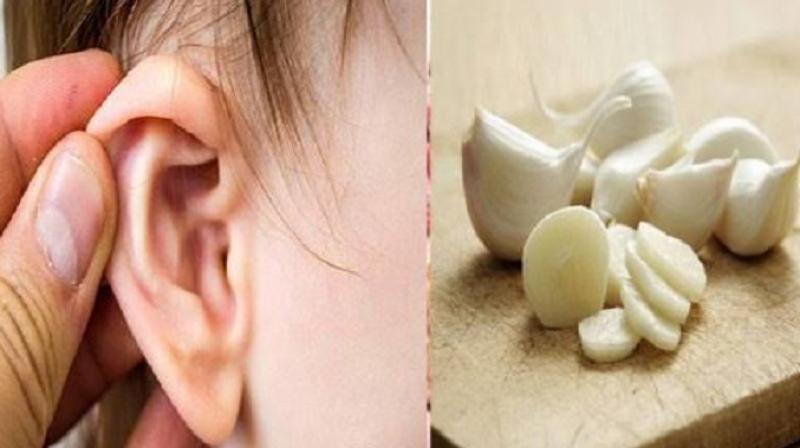 Ear Pain Solution is Garlic