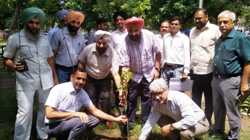 Sukbinder Singh Sarkaria Sukbinder Singh Sarkaria