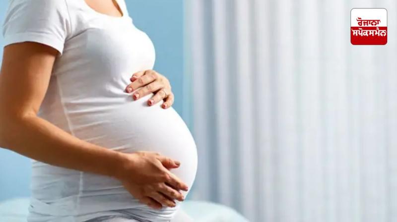 Rare condition of 'fetus in fetus' found in pregnant woman in Maharashtra Rare condition of 'fetus in fetus' found in pregnant woman in Maharashtra