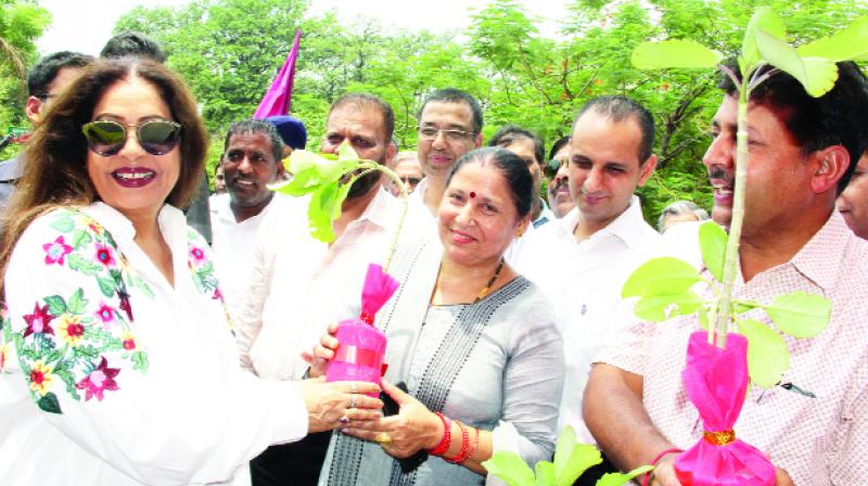 Kiran Kher is Distributing Free Saplings Kiran Kher is Distributing Free Saplings