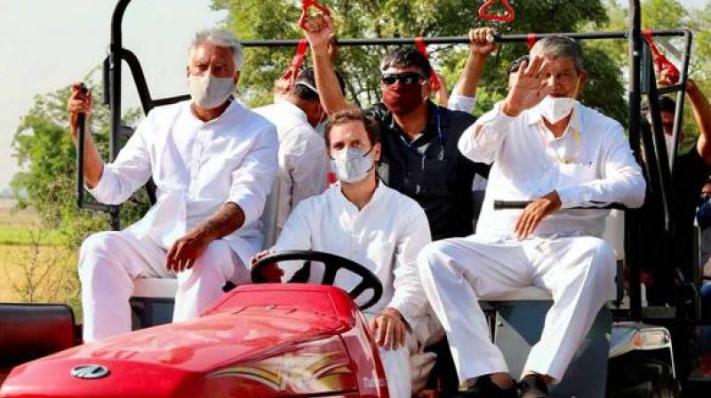 Rahul Gandhi And Harish Rawat Punjab Rally Rahul Gandhi And Harish Rawat Punjab Rally