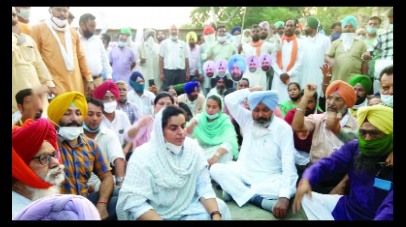 AAP leader arrested for protesting against Sadhu Singh Dharamsot AAP leader arrested for protesting against Sadhu Singh Dharamsot
