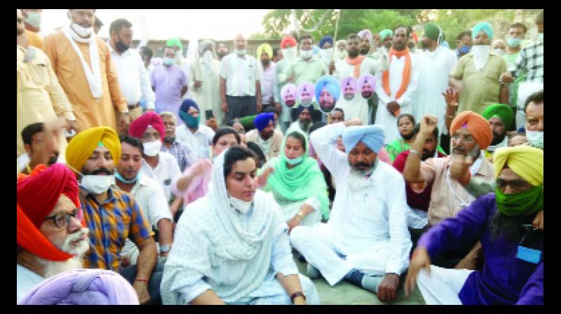 AAP leader arrested for protesting against Sadhu Singh Dharamsot