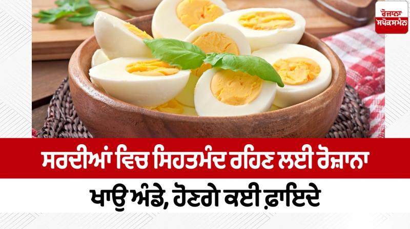 Eat eggs daily to stay healthy in winter