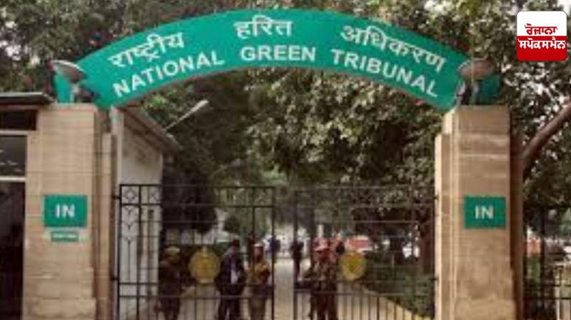 NGT issues notice to Centre on use of invasive fish species for mosquito control NGT issues notice to Centre on use of invasive fish species for mosquito control