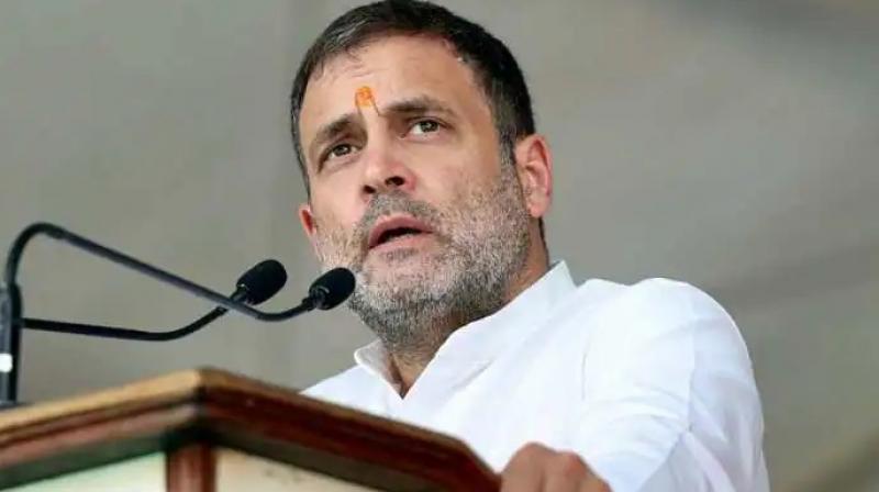 Rahul Gandhi Rahul Gandhi