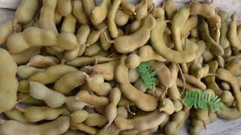 Tamarind Tamarind