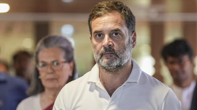 Congress Working Committee urges Rahul Gandhi to become Leader of Opposition Congress Working Committee urges Rahul Gandhi to become Leader of Opposition