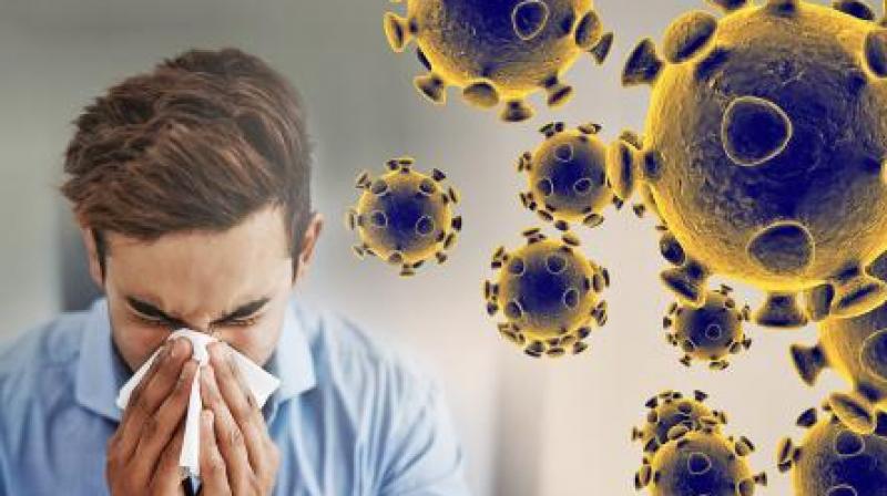 coronavirus coronavirus