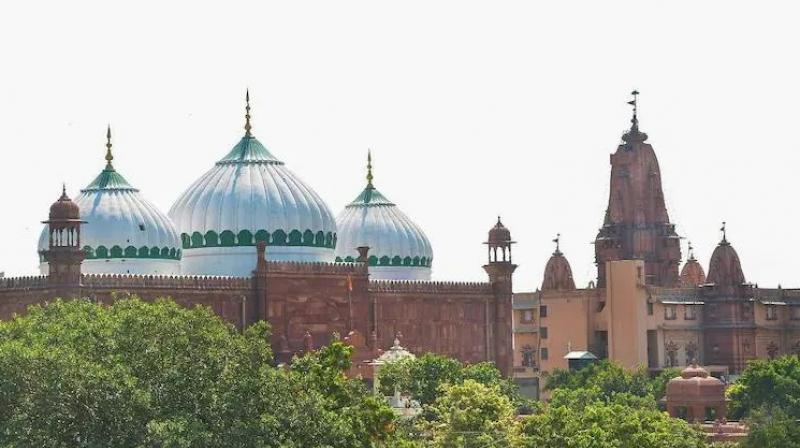 UP court allows plea seeking removal of mosque to be filed