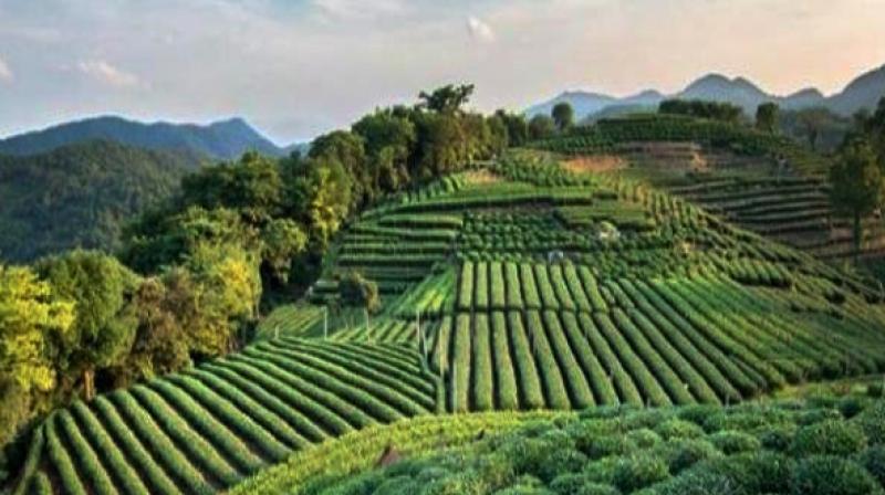 Sikkim the best destination to visit in this summer Sikkim the best destination to visit in this summer
