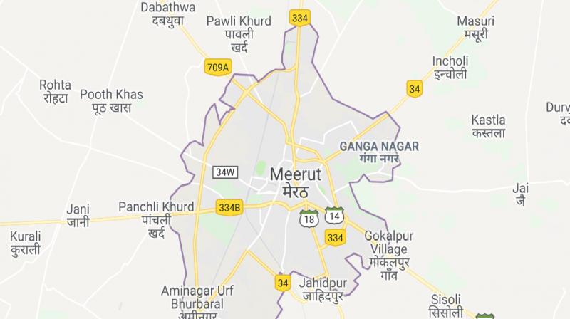 Garbage dumping problem in meerut causes diseases Garbage dumping problem in meerut causes diseases