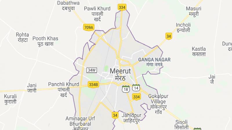 Garbage dumping problem in meerut causes diseases