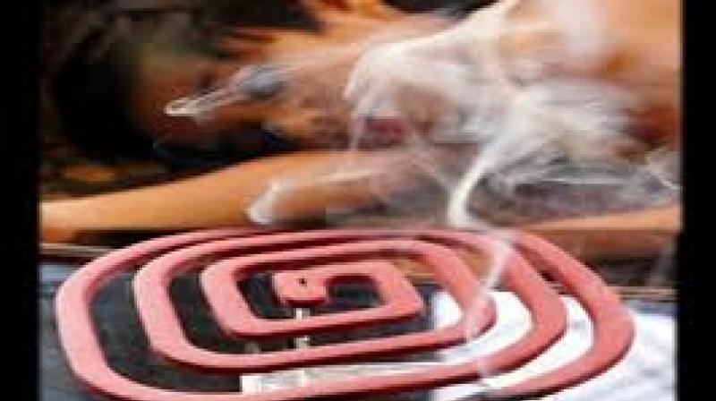 Mosquito coil dangerous for health Mosquito coil dangerous for health