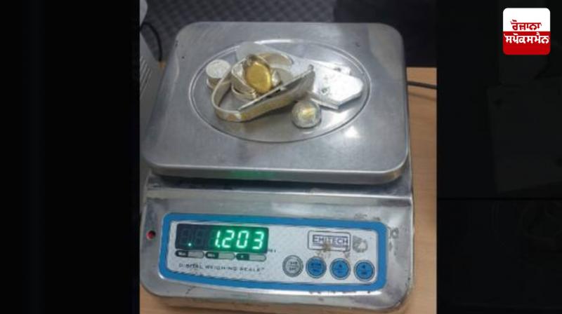 Iraqi national arrested for smuggling 1.2 kg gold at Delhi airport: Customs department Iraqi national arrested for smuggling 1.2 kg gold at Delhi airport: Customs department