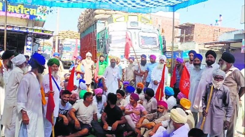  Sangrur farmers protest paddy purchase from other districts