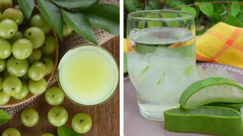Amla and Aloevera are the precious gifts of nature. Amla and Aloevera are the precious gifts of nature.