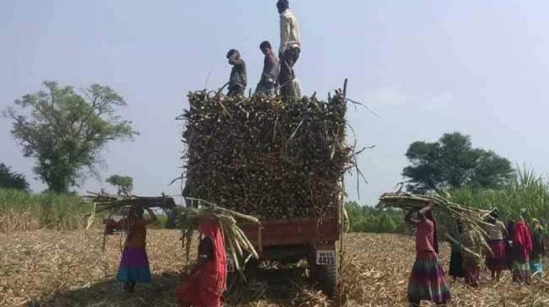 Countrys rural economy in crisis Countrys rural economy in crisis