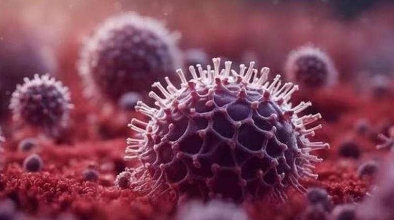 Chandipura Virus Chandipura Virus