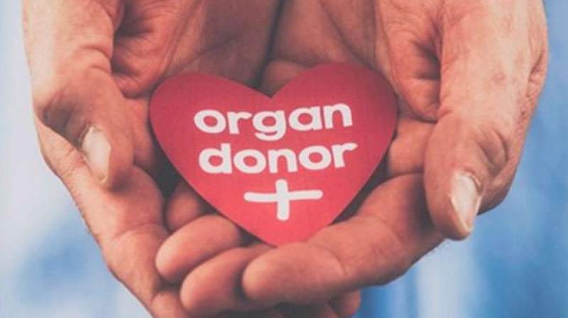 Central govt employees to get 42 days special casual leave for organ donation Central govt employees to get 42 days special casual leave for organ donation