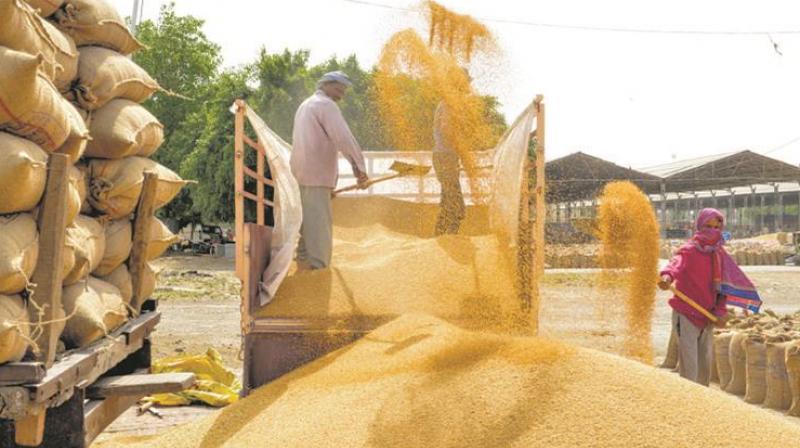 Govt notifies two ordinances for barrier-free farm trading Govt notifies two ordinances for barrier-free farm trading