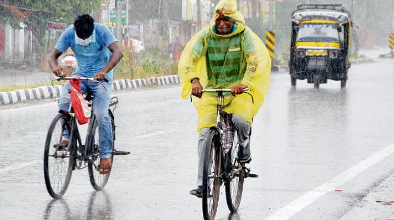 Rain Rain