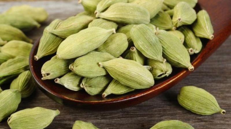 cardamom cardamom