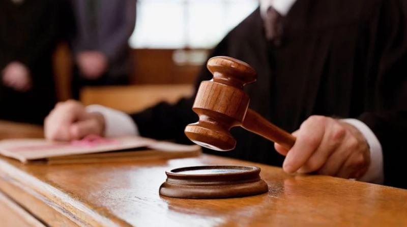 Punjab and Haryana High Court Order Punjab and Haryana High Court Order