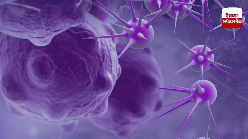 Indigenous tips to avoid cancer Indigenous tips to avoid cancer