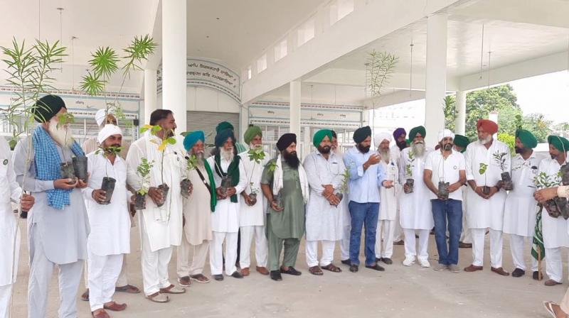 ਮੀਟਿੰਗ ਤੋਂ ਬਾਅਦ ਬੂਟੇ ਵੰਡਦੇ ਹੋਏ ਤਸਵੀਰ ਮੀਟਿੰਗ ਤੋਂ ਬਾਅਦ ਬੂਟੇ ਵੰਡਦੇ ਹੋਏ ਤਸਵੀਰ