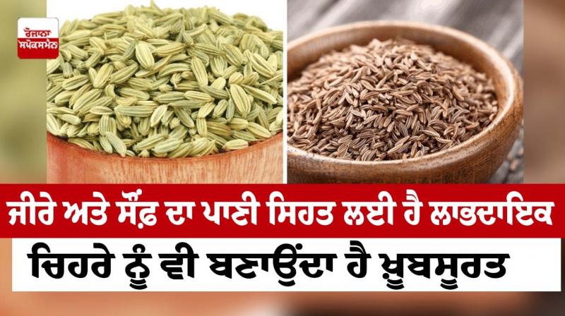 Cumin and fennel water is beneficial for health Cumin and fennel water is beneficial for health