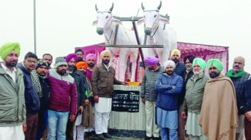 A pair of oxen plowing in Kisan Chowk, Bathinda will enhance the splendor of Bathinda