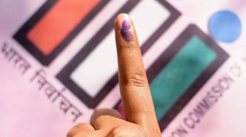 2022 elections 2022 elections