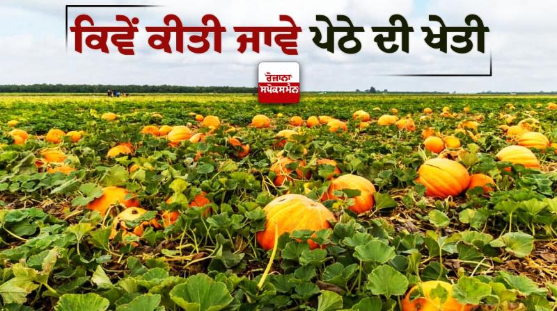 Farming News Farming News