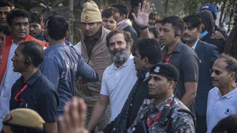Rahul Gandhi (file photo) Rahul Gandhi (file photo)