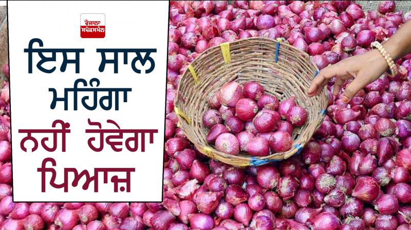 Onion Onion