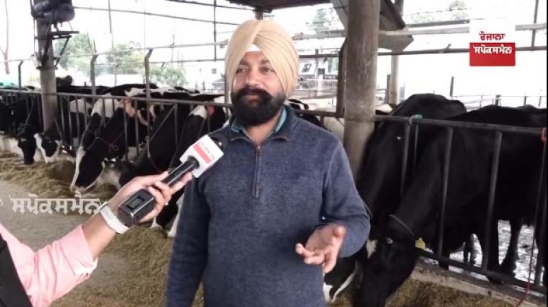 Dairy farming business started by farmer becomes huge Dairy farming business started by farmer becomes huge