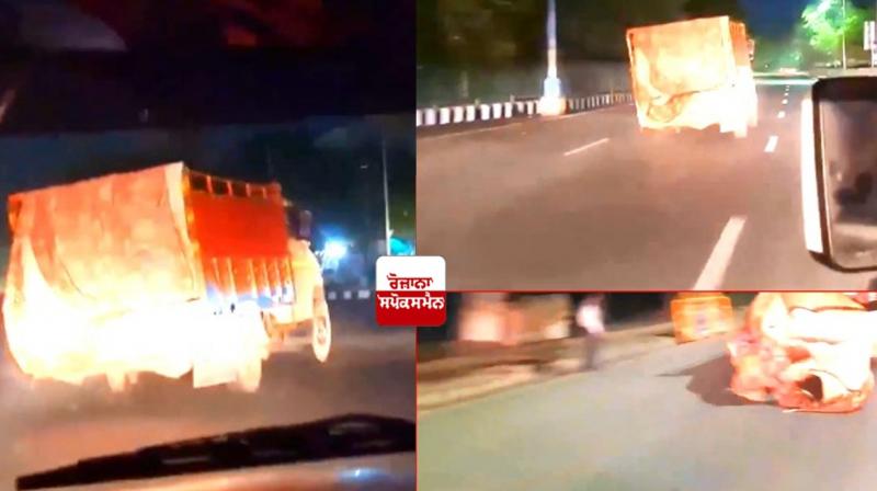 Five animal smugglers arrested from Gurugram near Delhi Five animal smugglers arrested from Gurugram near Delhi