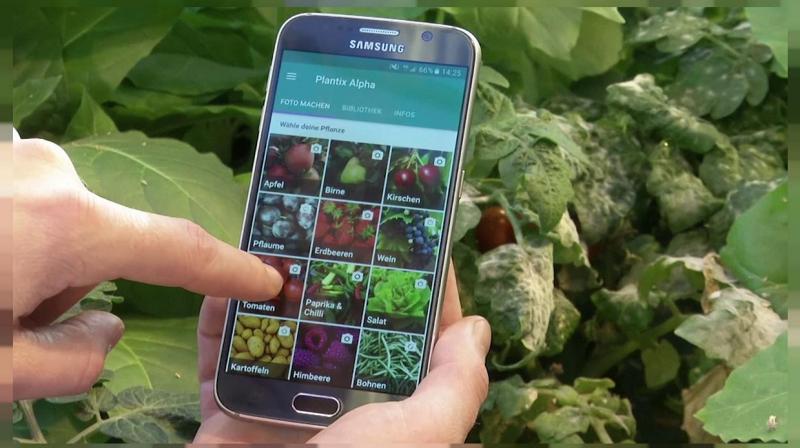 Smartphone device identifies plant diseases