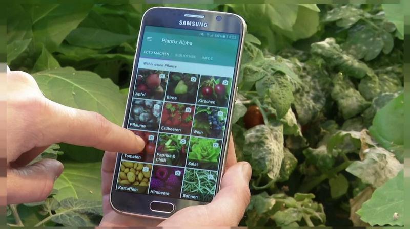 Smartphone device identifies plant diseases Smartphone device identifies plant diseases