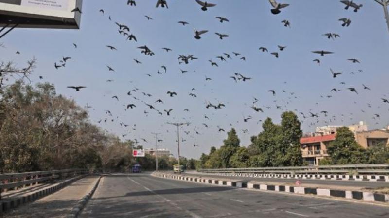 lockdown in jharkhandn