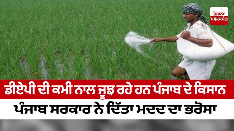 Farmers of Punjab are struggling with the lack of DAP