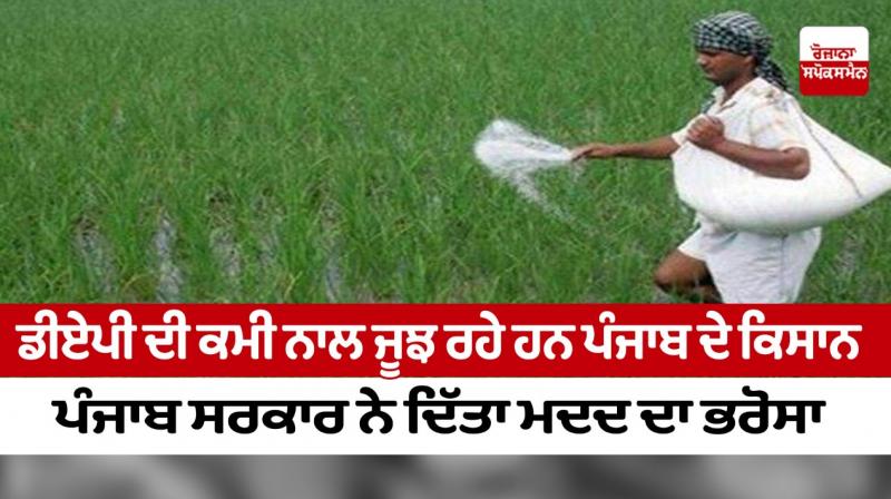 Farmers of Punjab are struggling with the lack of DAP Farmers of Punjab are struggling with the lack of DAP